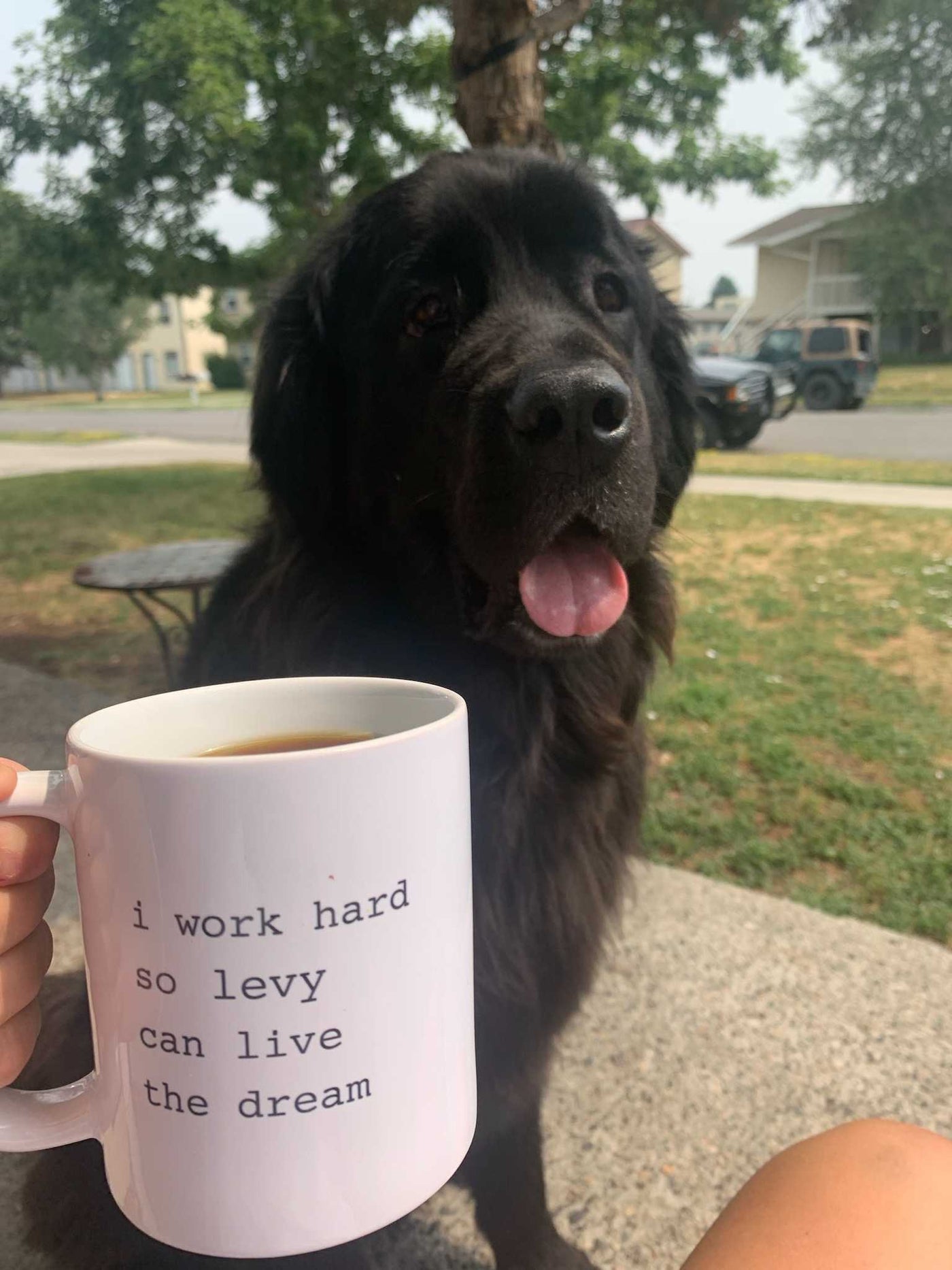 Personalized Pet Name 'I Work Hard' Mug Mug Rover Store 