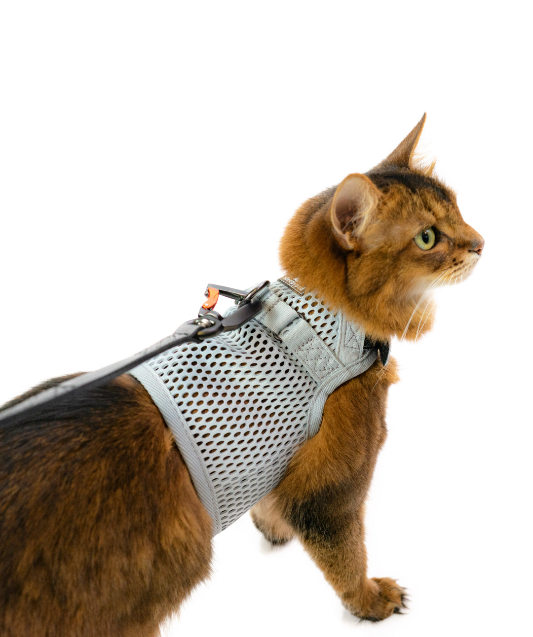 http://store.rover.com/cdn/shop/products/sleepypod-martingale-cat-harness-cat-supplies-sleepypod-s-silver-515558.jpg?v=1653606943