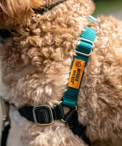 Wonder Walker™ Body Halter© No-Pull Dog Harness Harness Rover 