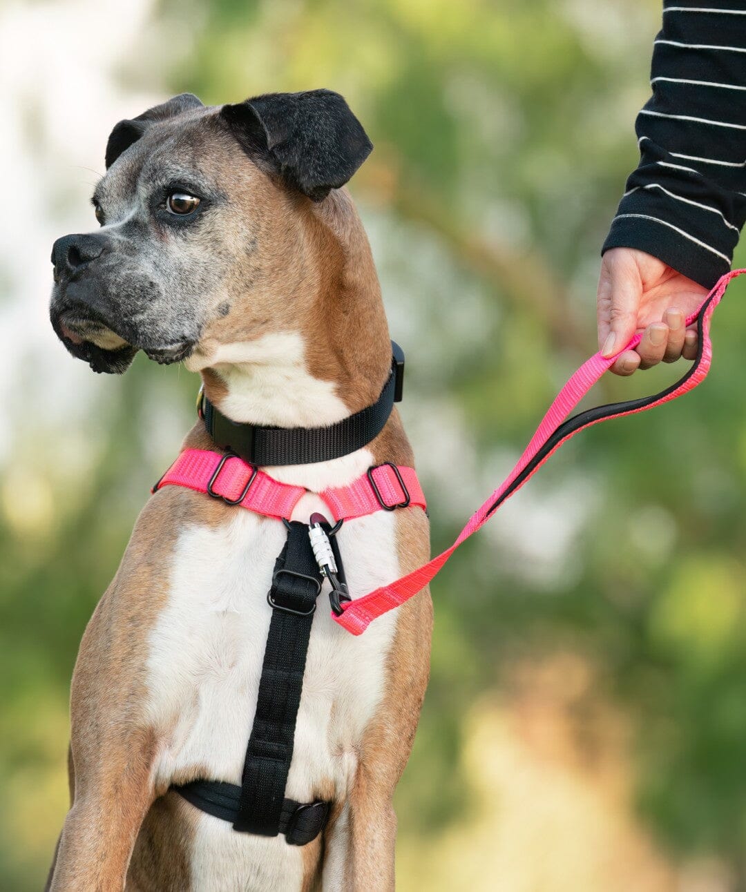 Rover Gear Better Walk™ No-Pull Dog Harness Harness Rover 