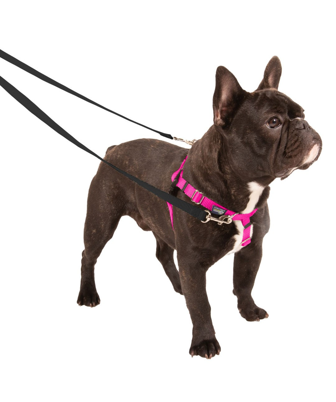 Connected Control™ Harness: no-pull dog walking harness (2-point,  front-clip in Leather or Brahma)
