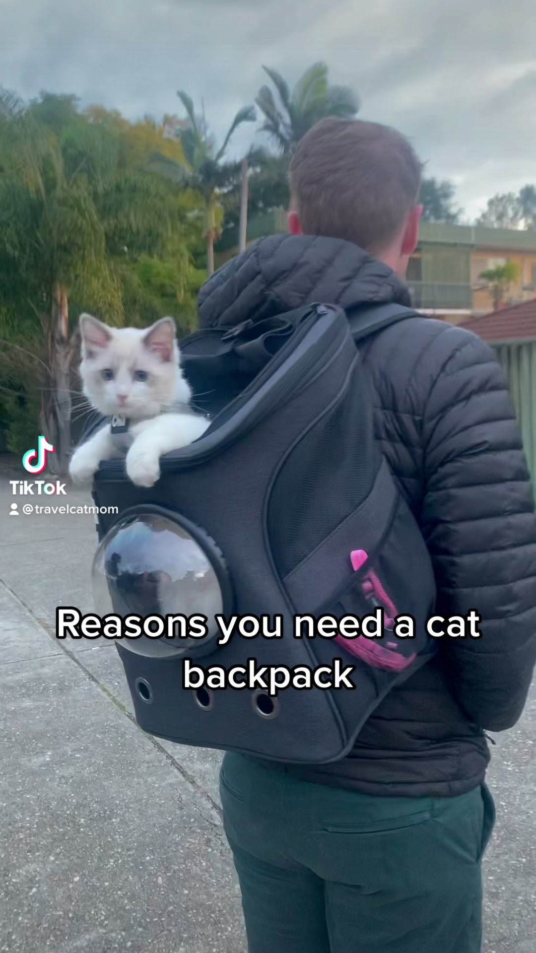 The Fat Cat Mini Bubble Backpack for Small Cats
