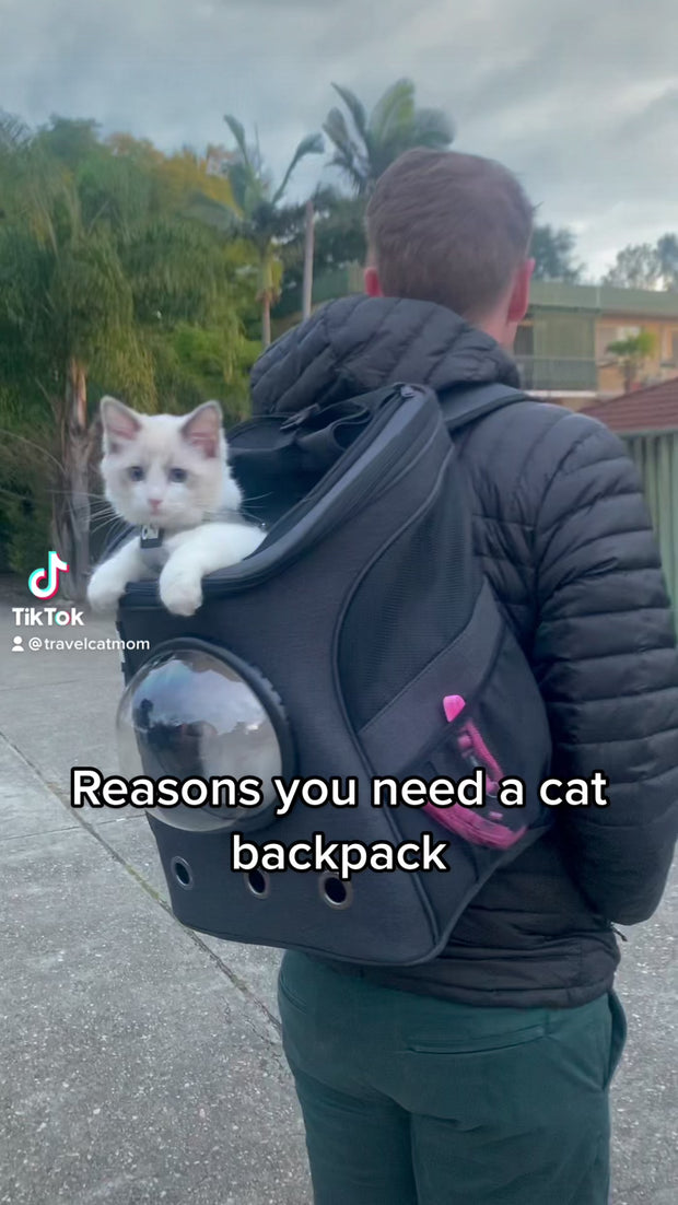 The Fat Cat Mini Bubble Backpack for Small Cats – Rover Store