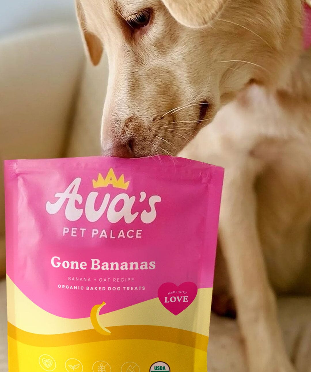 Ava’s Pet Palace Gone Bananas Baked Dog Treats Dog Treats Rover 