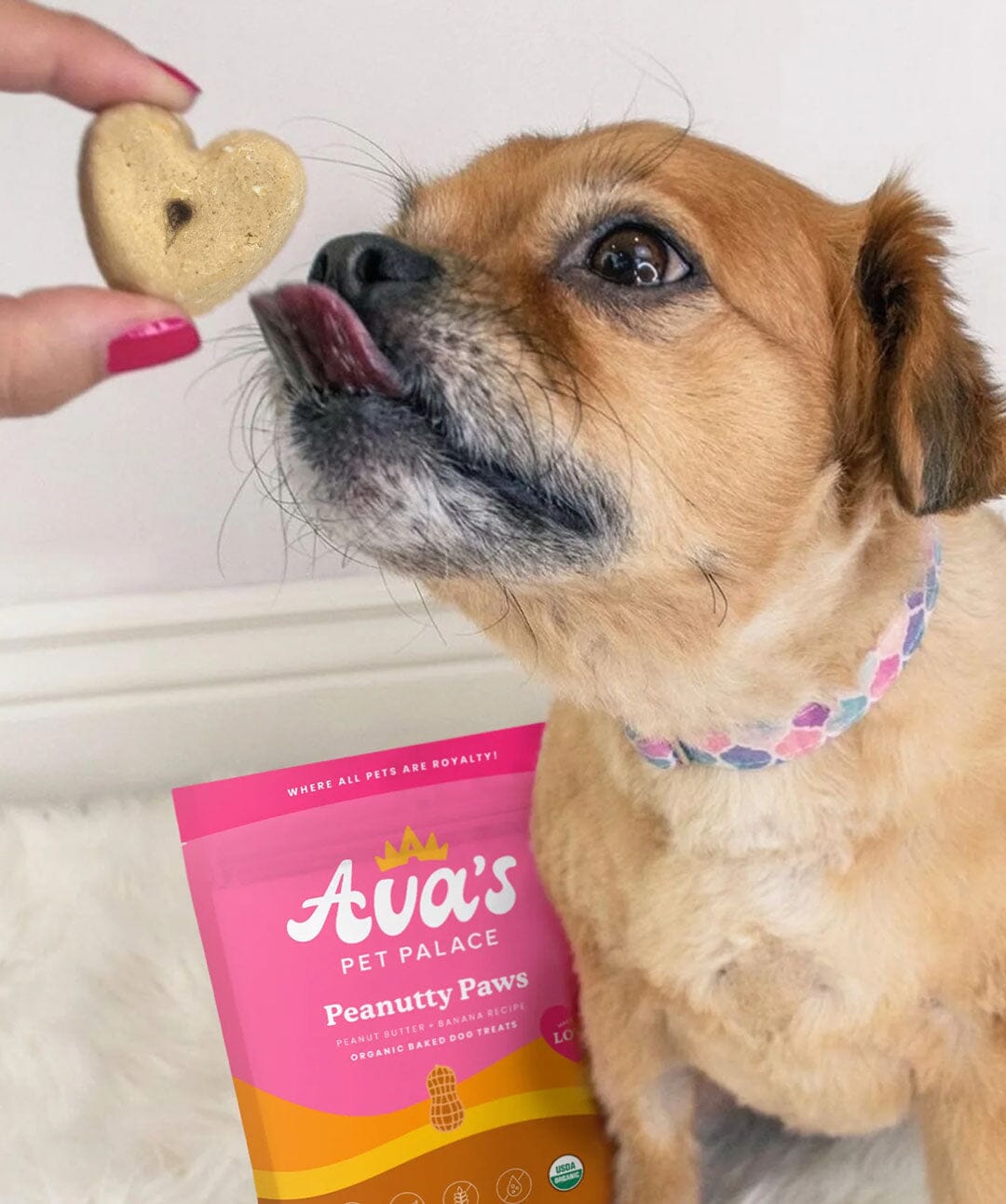 Ava’s Pet Palace Peanutty Paws Baked Dog Treats Dog Treats Rover 