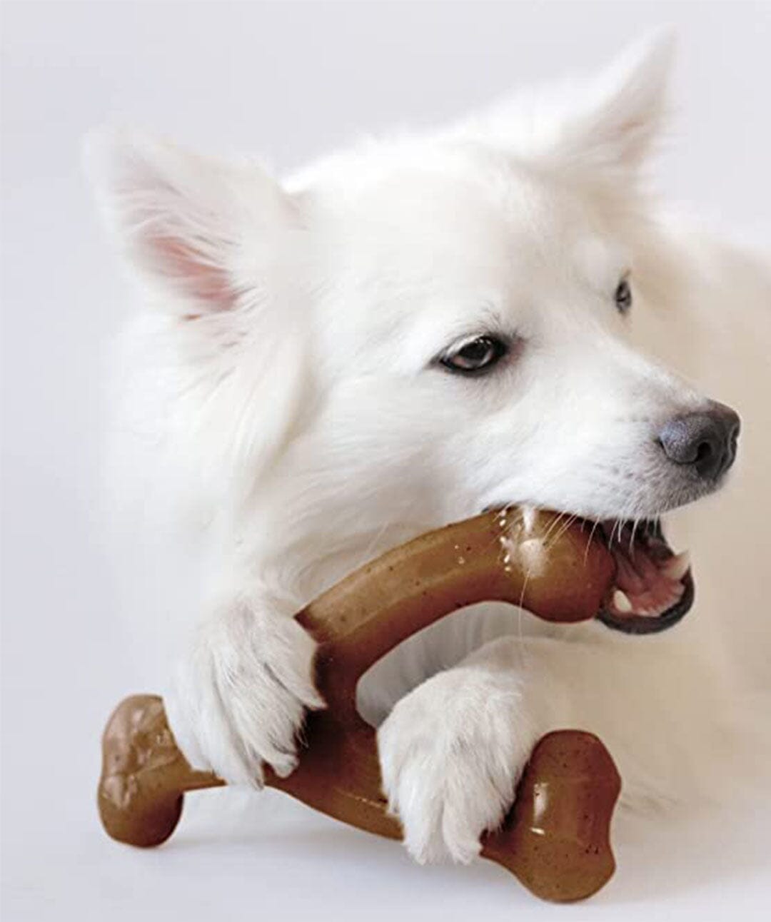 Benebone Wishbone Bacon-Infused Dog Chew Toy Chew Toys Rover 