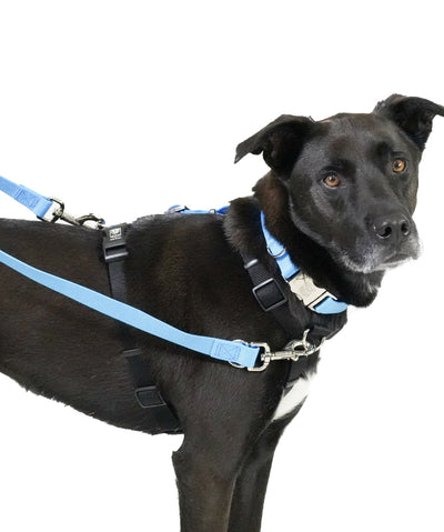 Blue-9 Balance No-Pull Dog Harness Harness Rover 