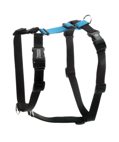 JOR 1845 Nitro Harness Color Blue –