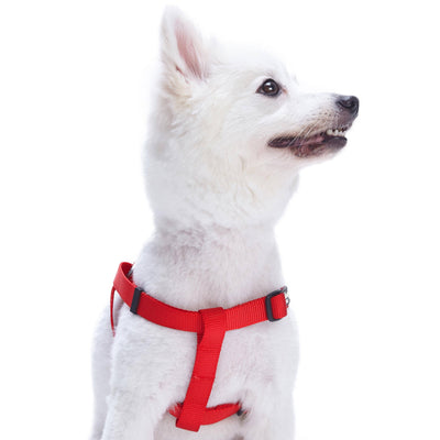 Blueberry Pet Essentials Classic Step-In Dog Harness Harness Blueberry Pet 