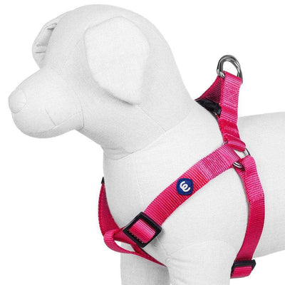 Blueberry Pet Essentials Classic Step-In Dog Harness Harness Blueberry Pet 
