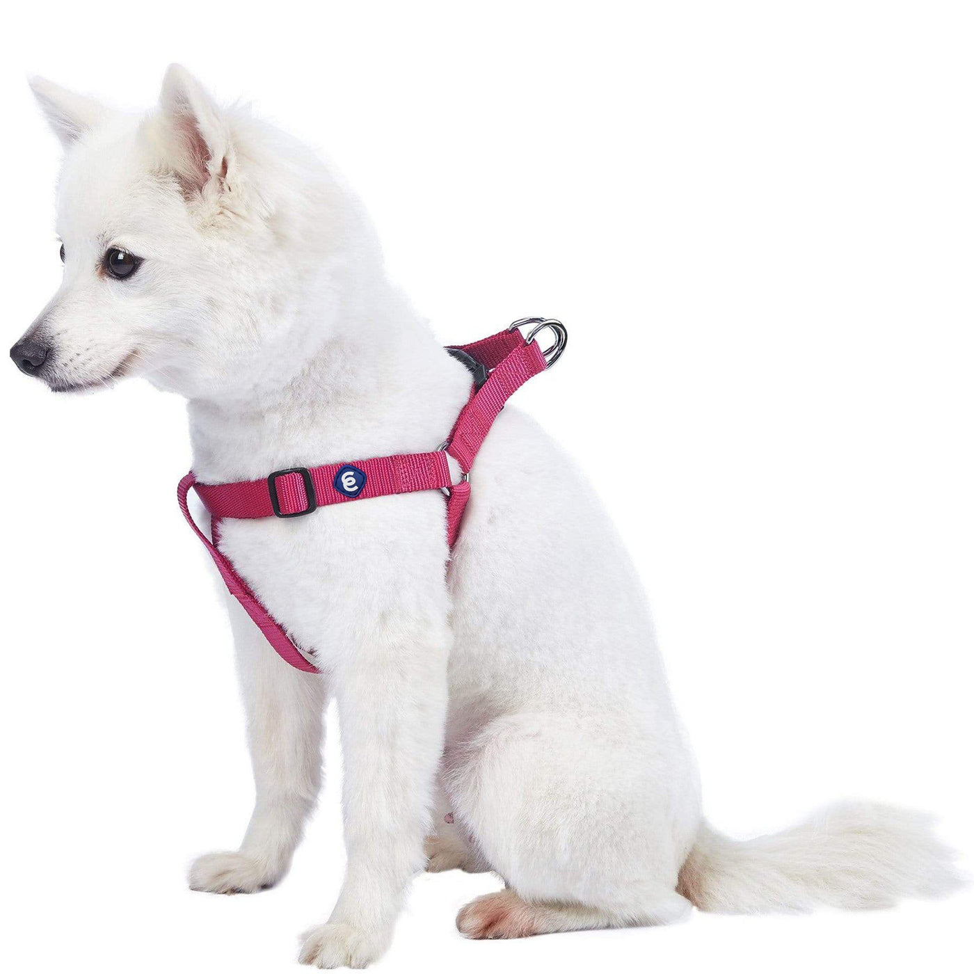 Blueberry Pet Essentials Classic Step-In Dog Harness Harness Blueberry Pet Berry Pink S 