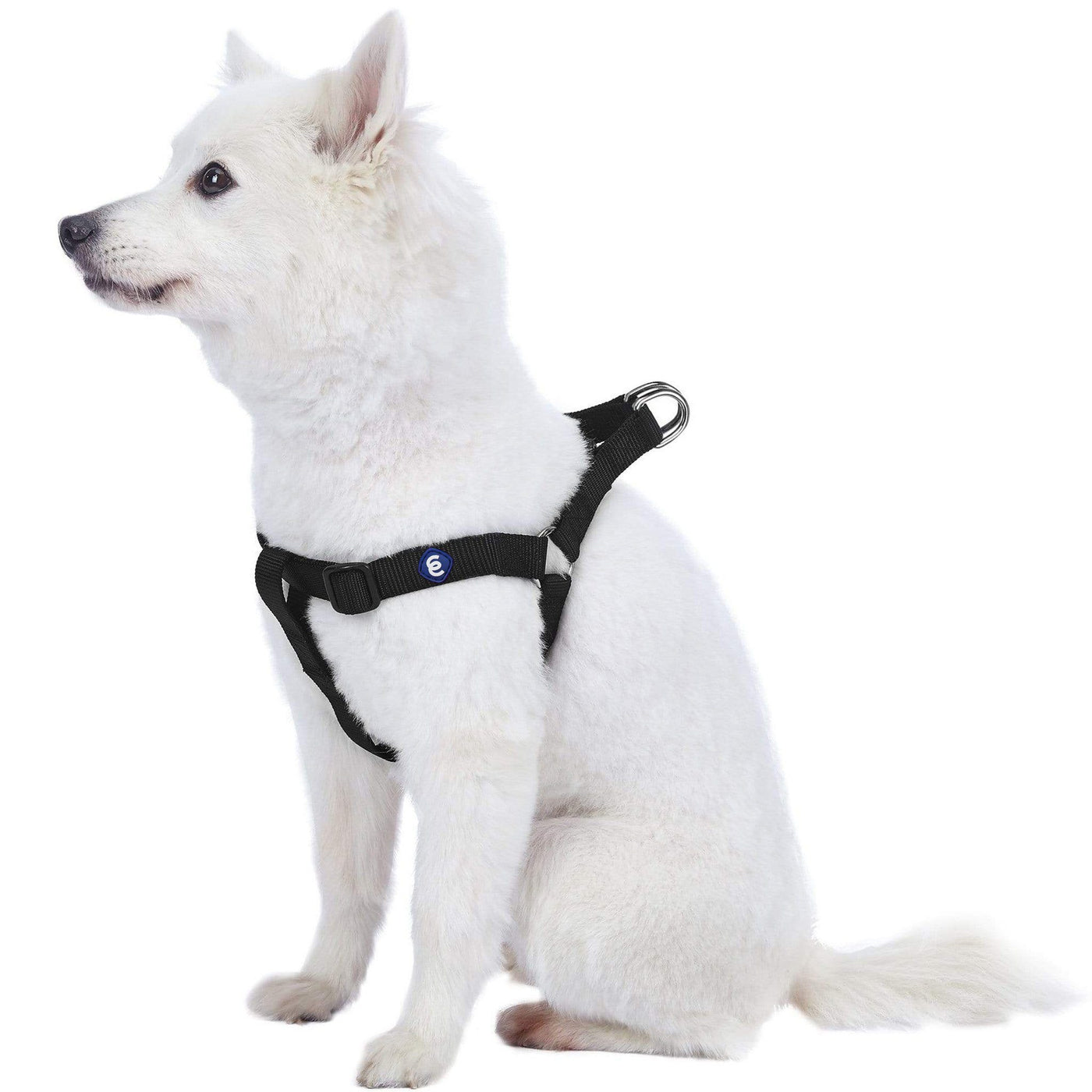 Blueberry Pet Essentials Classic Step-In Dog Harness Harness Blueberry Pet Black S 