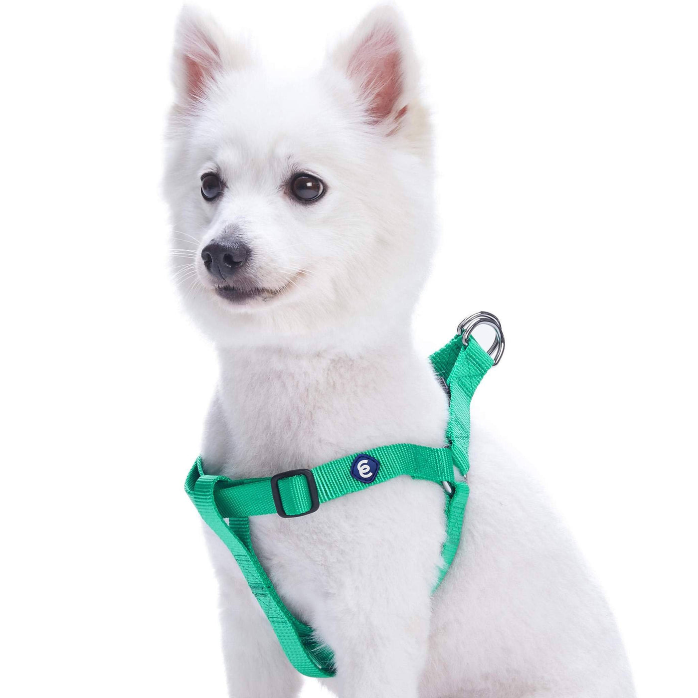 Blueberry Pet Essentials Classic Step-In Dog Harness Harness Blueberry Pet Emerald S 