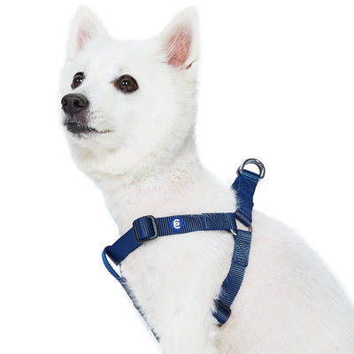 Blueberry Pet Essentials Classic Step-In Dog Harness Harness Blueberry Pet Navy S 