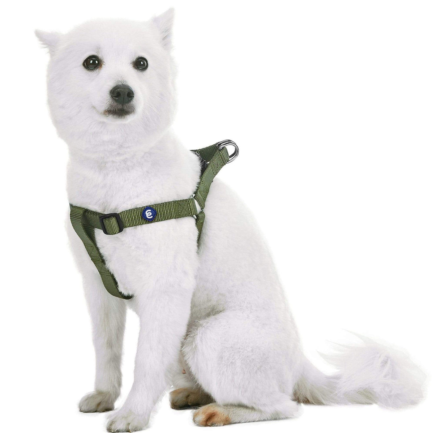 Blueberry Pet Essentials Classic Step-In Dog Harness Harness Blueberry Pet Olive Green S 