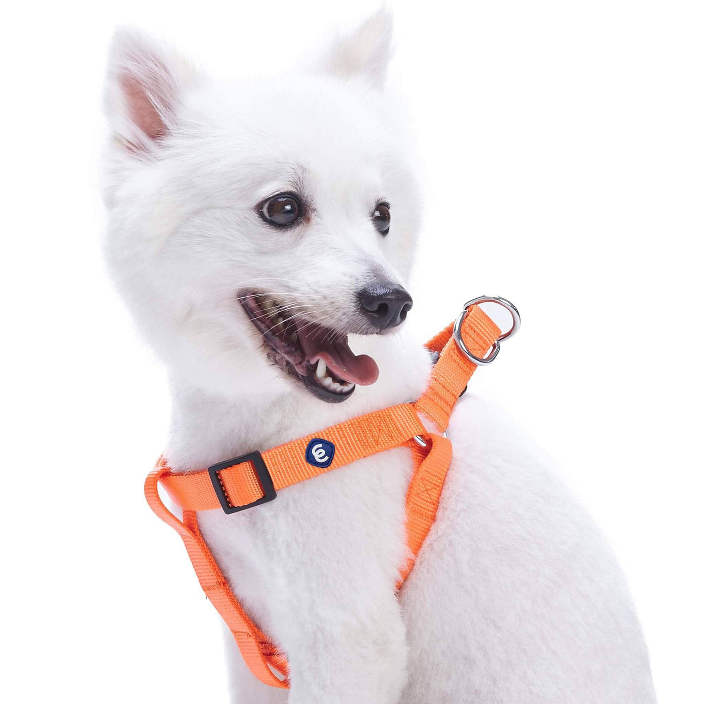 Blueberry Pet Essentials Classic Step-In Dog Harness Harness Blueberry Pet Orange S 