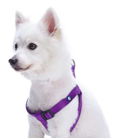 Blueberry Pet Essentials Classic Step-In Dog Harness Harness Blueberry Pet Purple S 