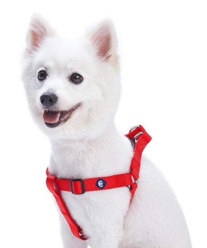 Blueberry Pet Essentials Classic Step-In Dog Harness Harness Blueberry Pet Red S 