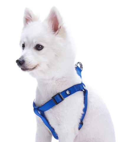 Blueberry Pet Essentials Classic Step-In Dog Harness Harness Blueberry Pet Royal Blue S 