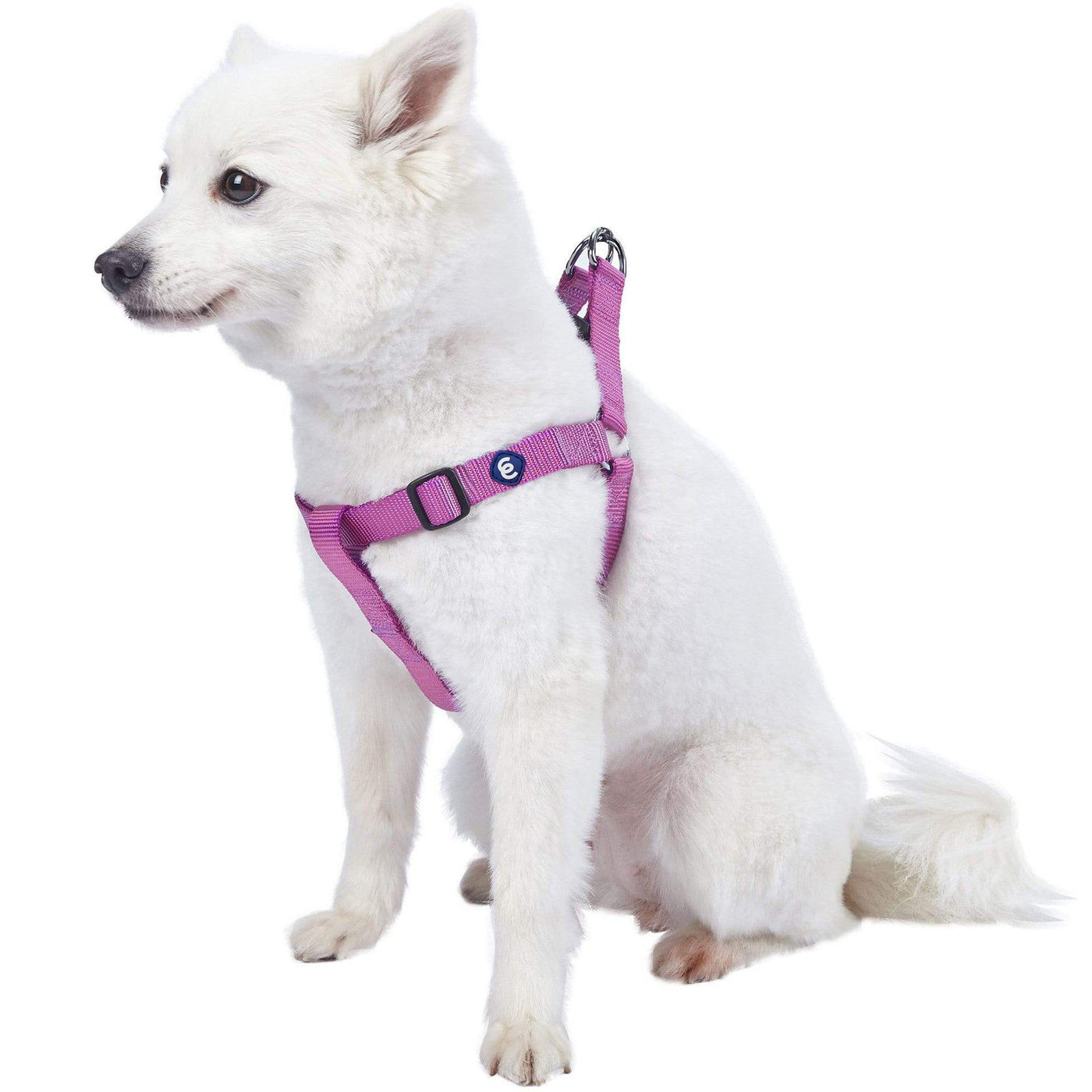 Blueberry Pet Essentials Classic Step-In Dog Harness Harness Blueberry Pet Violet S 