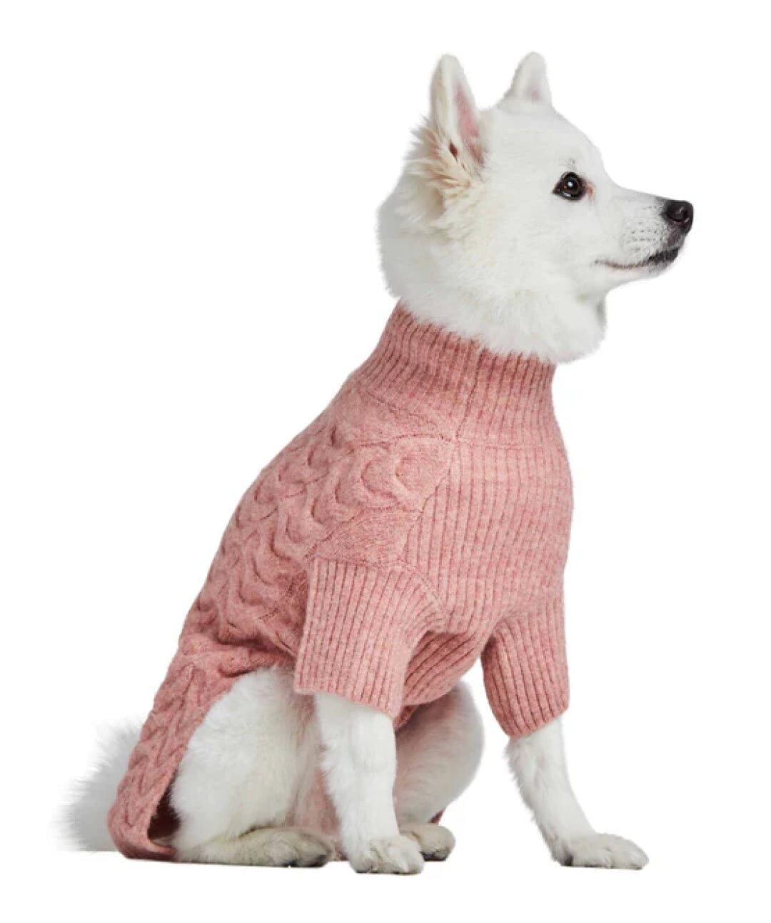Blueberry Pet Fuzzy Textured Knit Dog Turtleneck Sweater Sweater Blueberry Pet 