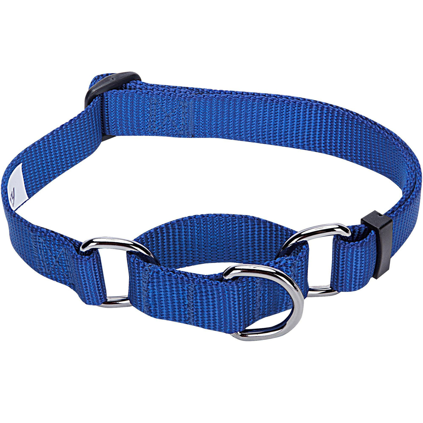 Blueberry Pet Martingale Dog Collar Collar Blueberry Pet 