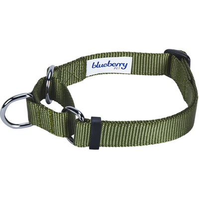 Blueberry Pet Martingale Dog Collar Collar Blueberry Pet Olive Green S 