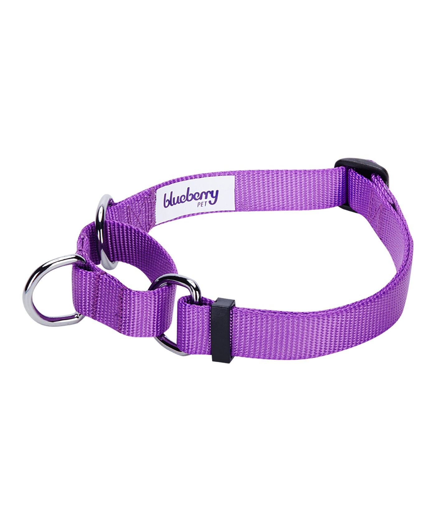 Blueberry Pet Martingale Dog Collar Collar Blueberry Pet Purple S 