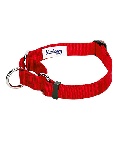Blueberry Pet Martingale Dog Collar Collar Blueberry Pet Red S 