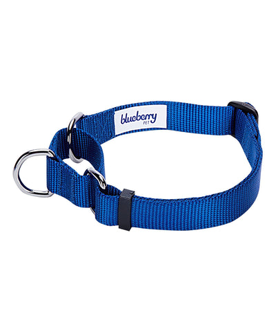Blueberry Pet Martingale Dog Collar Collar Blueberry Pet Royal Blue S 