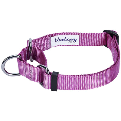 Blueberry Pet Martingale Dog Collar Collar Blueberry Pet Violet S 
