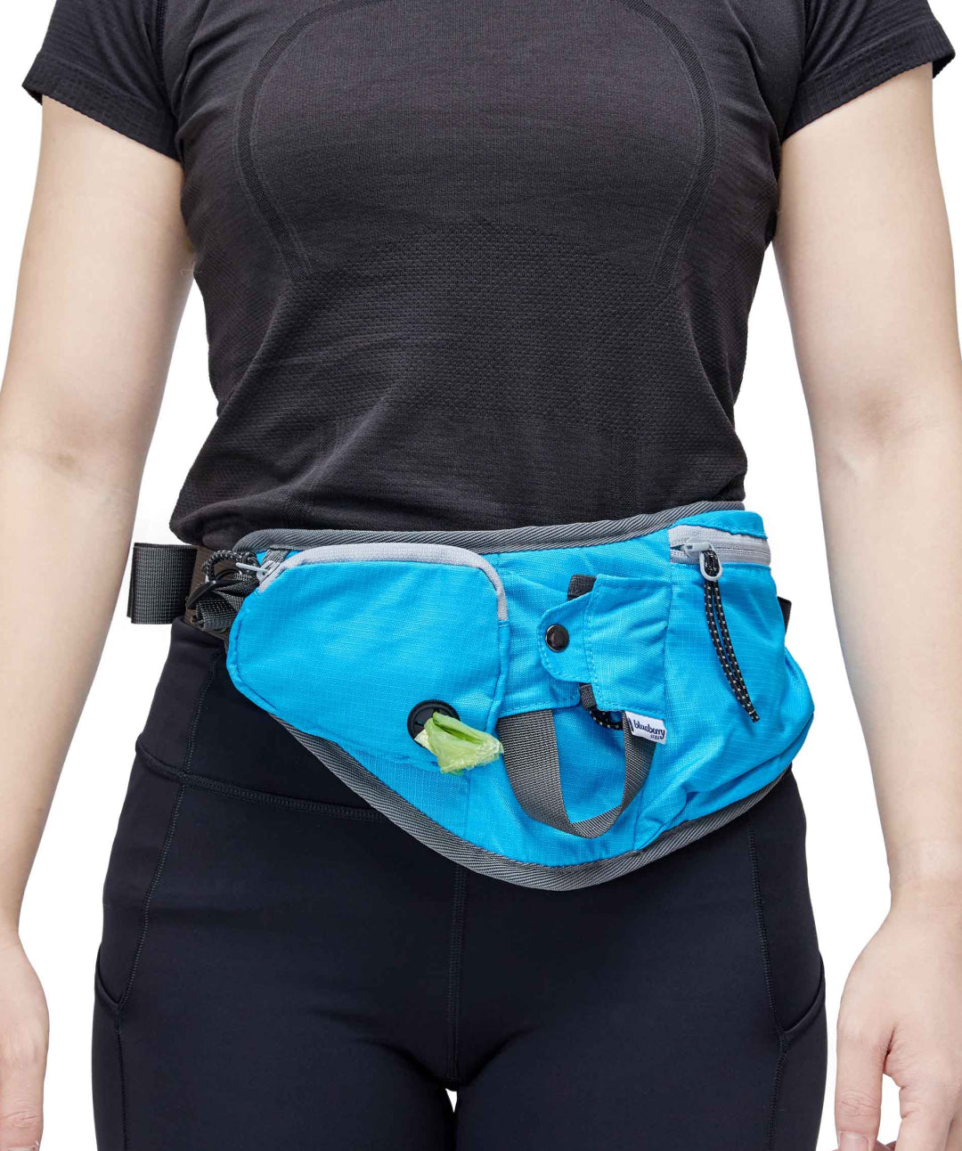 Blueberry Pet Multi-Function Dog Walking Fanny Pack Rover Store Blue 