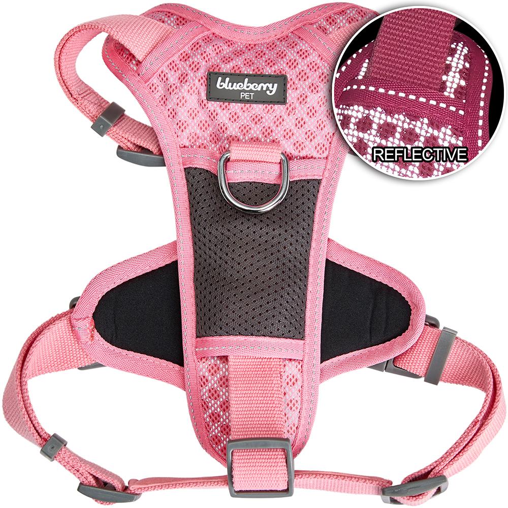 Blueberry Pet No-Pull Reflective Padded Dog Harness Harness Blueberry Pet 