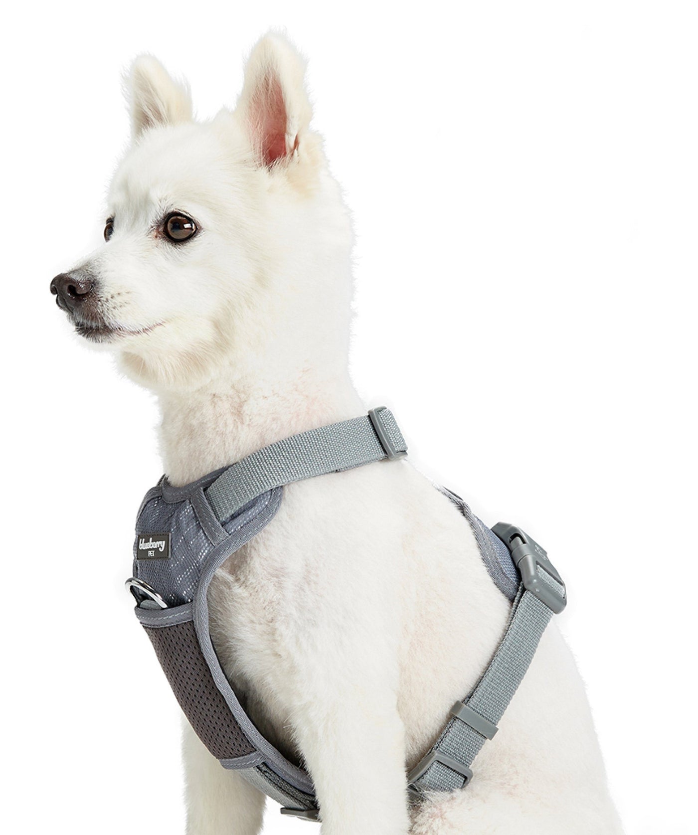 Blueberry Pet No-Pull Reflective Padded Dog Harness Harness Blueberry Pet Gray S 