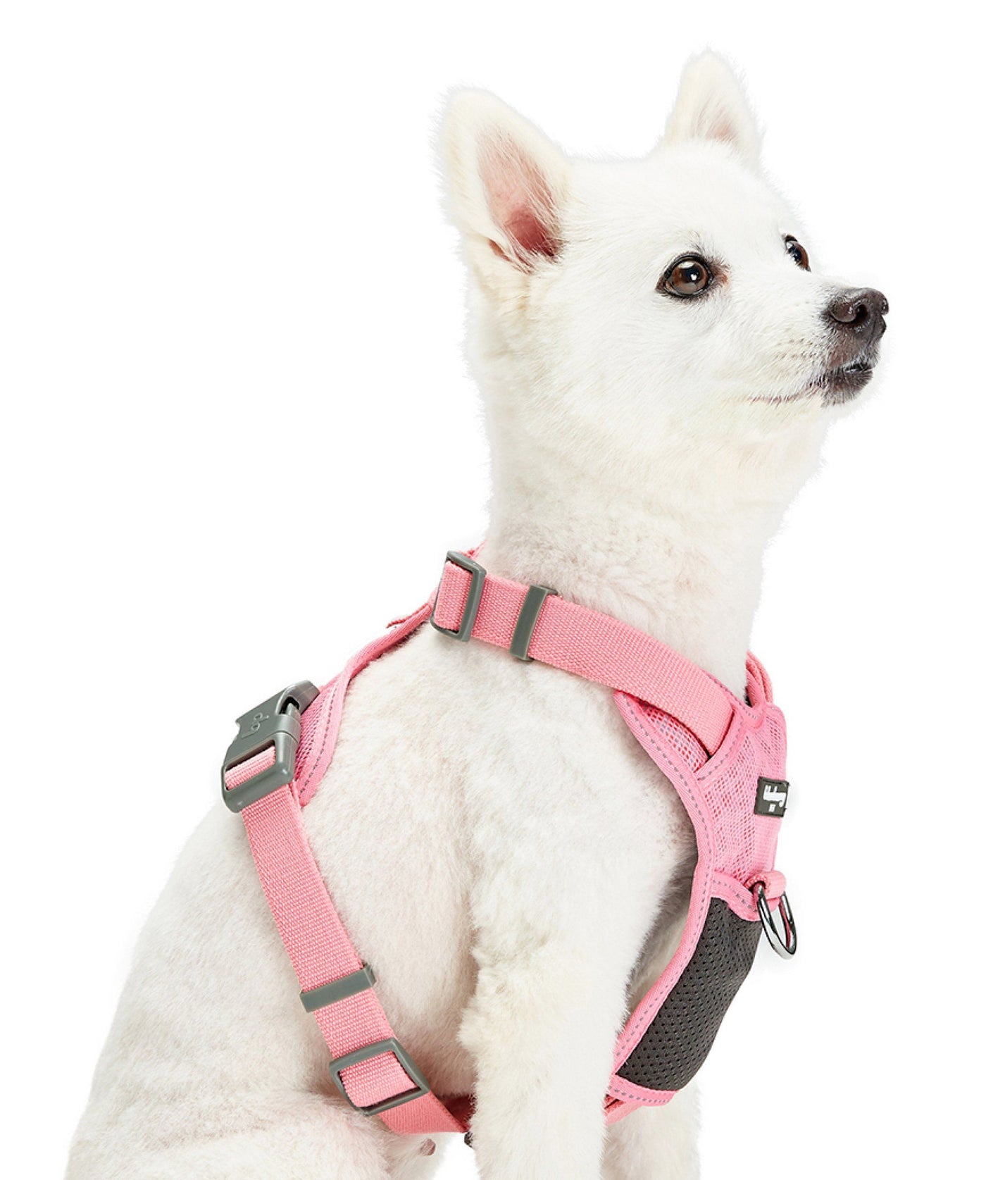 Blueberry Pet No-Pull Reflective Padded Dog Harness Harness Blueberry Pet Pink S 