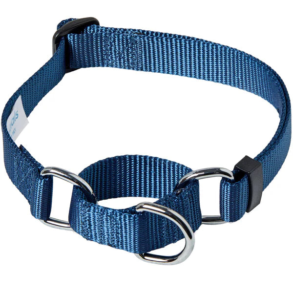 Blueberry Pet Nylon Martingale Personalized Dog Collar Collar Blueberry Pet 