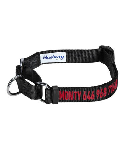 Blueberry Pet Nylon Martingale Personalized Dog Collar Collar Blueberry Pet Black S 