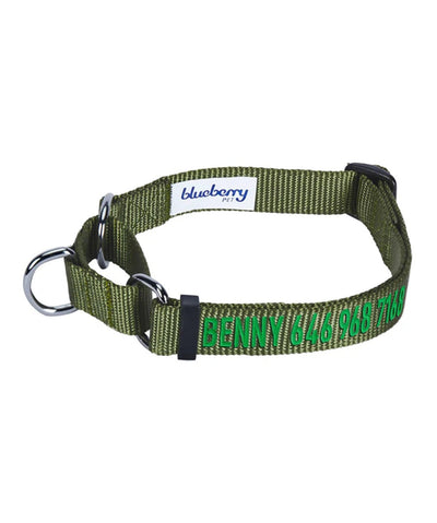Blueberry Pet Nylon Martingale Personalized Dog Collar Collar Blueberry Pet Olive Green S 