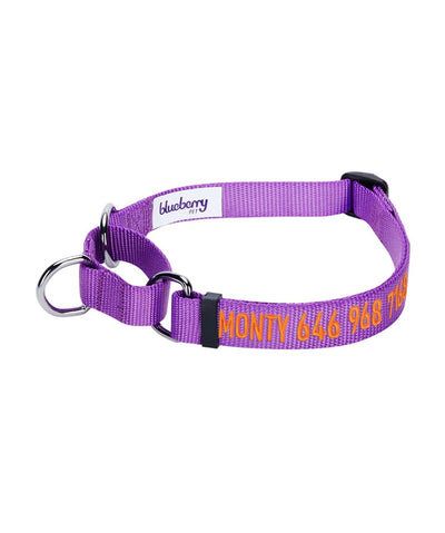 Blueberry Pet Nylon Martingale Personalized Dog Collar Collar Blueberry Pet Purple S 