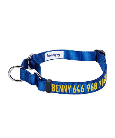 Blueberry Pet Nylon Martingale Personalized Dog Collar Collar Blueberry Pet Royal Blue S 