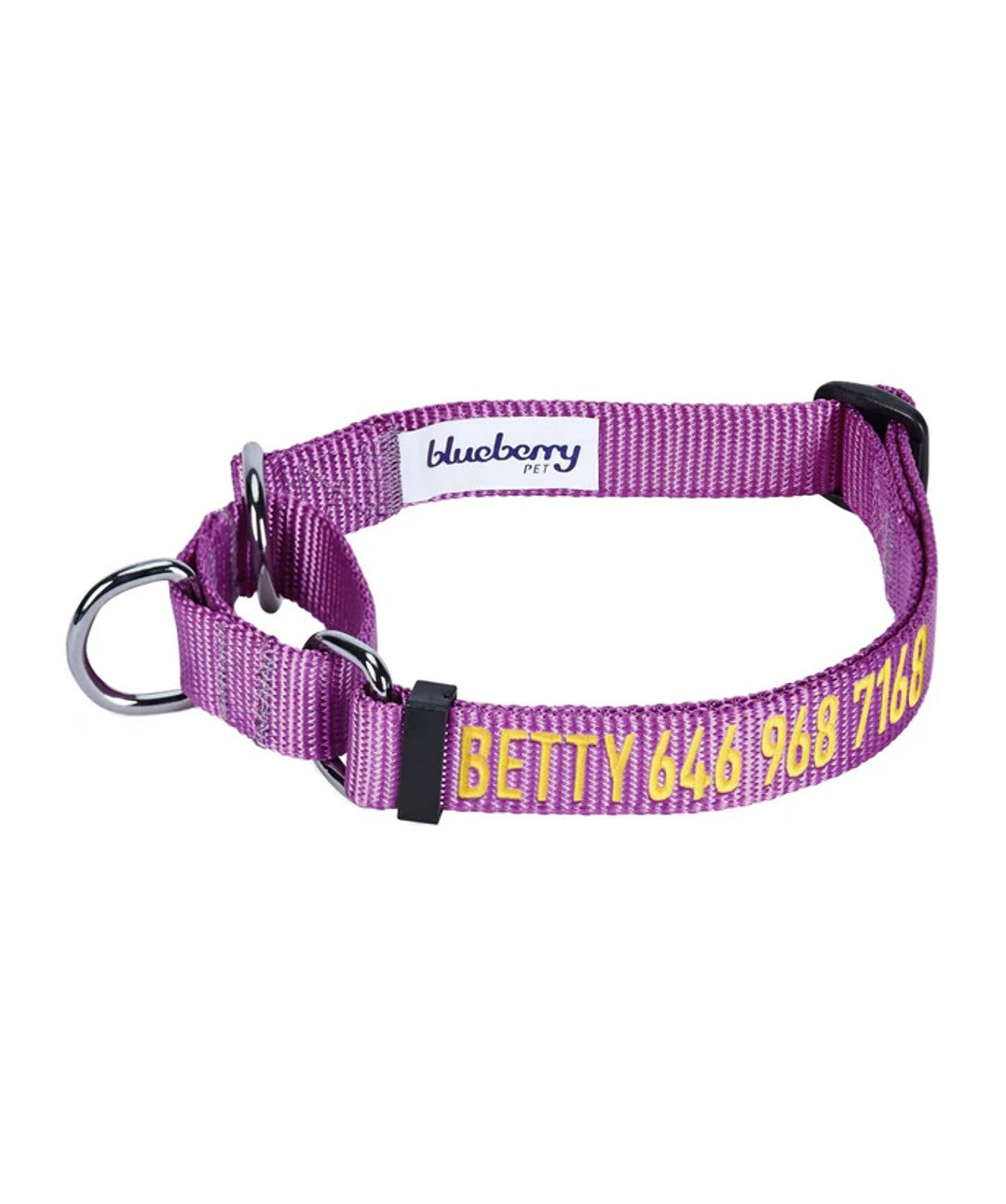 Blueberry Pet Nylon Martingale Personalized Dog Collar Collar Blueberry Pet Violet S 