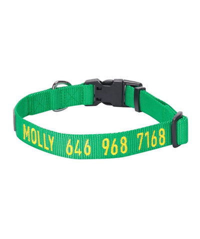 Blueberry Pet Personalized Classic Dog Collar Collar Blueberry Pet Emerald S 