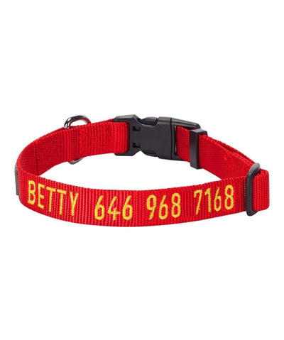 Blueberry Pet Personalized Classic Dog Collar Collar Blueberry Pet Red S 