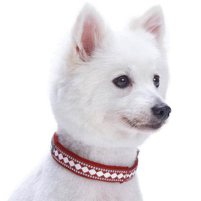 Blueberry Pet Reflective Jacquard Comfort Dog Collar Collar Blueberry Pet 