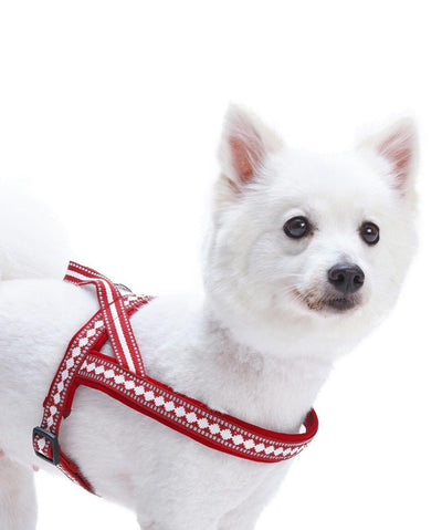 Blueberry Pet Reflective Jacquard Comfort Dog Harness Harness Blueberry Pet 