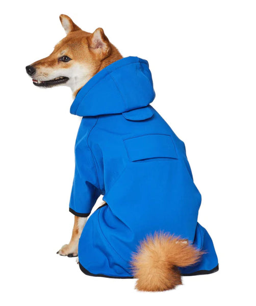 Dog raincoat