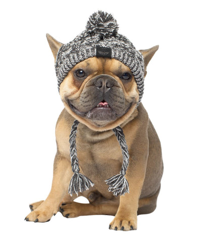 Canada Pooch Polar Pom Pom Dog Hat (2 colors) Dog Apparel Canada Pooch Charcoal S 