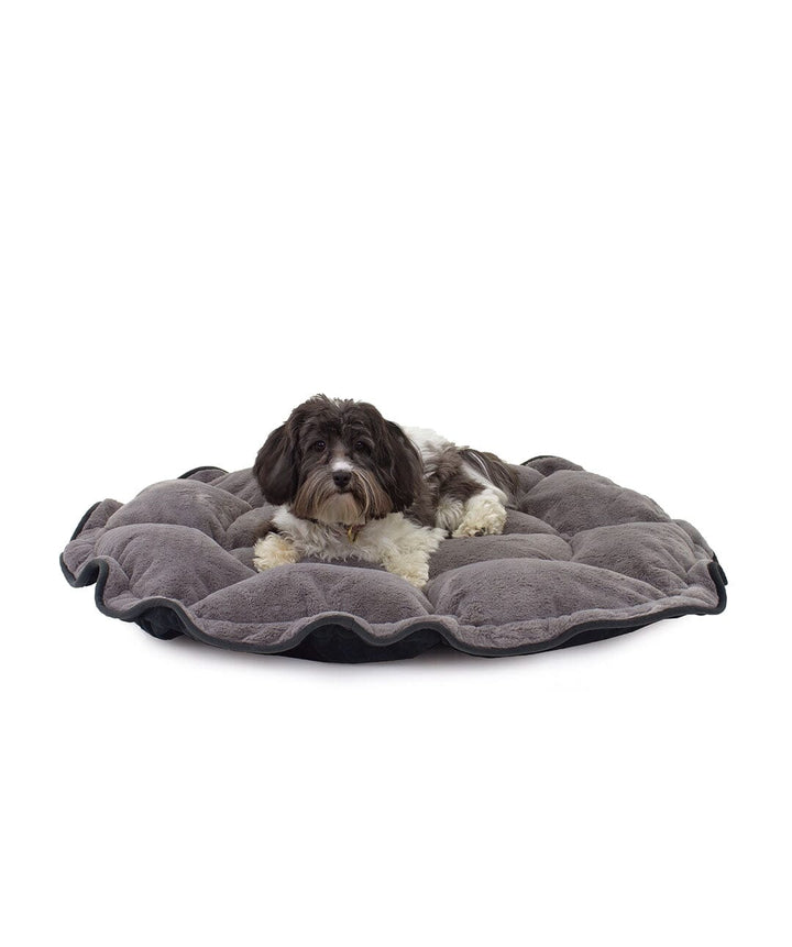 Small dog laying on gray lilypad bed