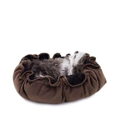 Small dog curled up in brown lilypad bed