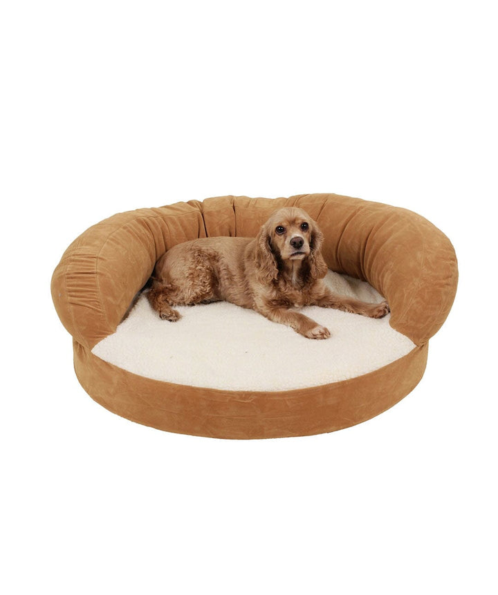 dog laying in tan orthopedic pet bed with white 